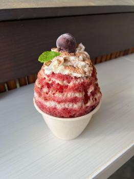 Image for HulaScoops with ID of: 6771434