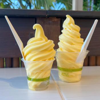 Image for HulaScoops with ID of: 6771436