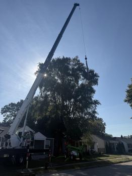 Image for Seasonal Property Maintenance with ID of: 6772079