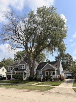 Image for Seasonal Property Maintenance with ID of: 6772080