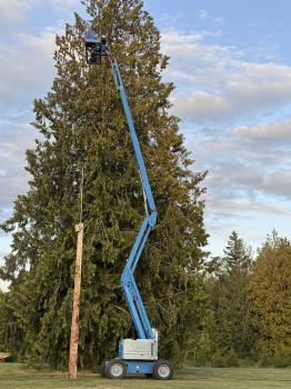 Image for Bob's Property Solutions with ID of: 6773301