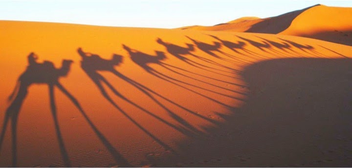 Image for SMA Tourism with ID of: 6774940