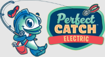 Image for Perfect Catch Electric with ID of: 6350781