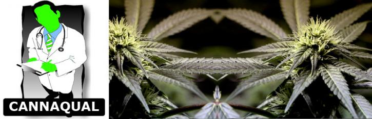 Image for CannaQual with ID of: 691011