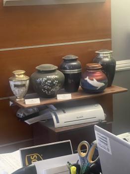 Image for Accu-Care Cremation & Funerals, LLC with ID of: 6777011