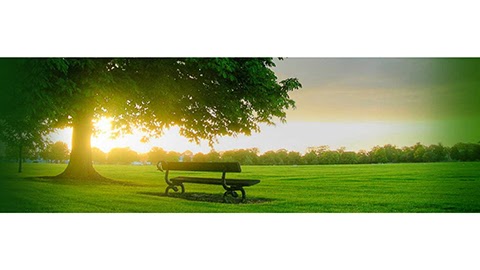 Image for Accu-Care Cremation & Funerals, LLC with ID of: 6777346
