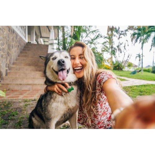 Image for Wellness Wag with ID of: 6778275