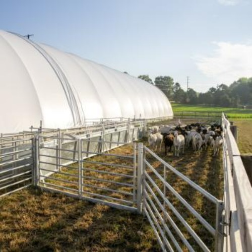 Image for Paragon Farm, LLC with ID of: 6779826