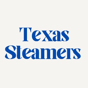 Image for Texas Steamers - Couch Cleaning with ID of: 6913440