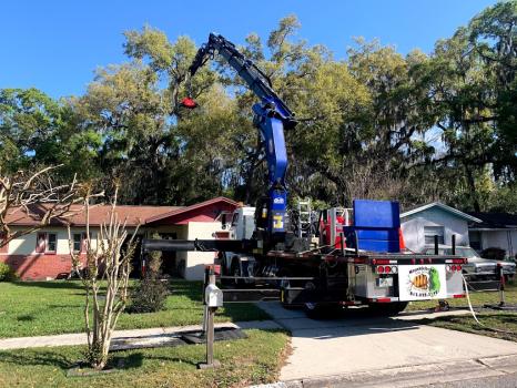 Image for Knuckleheads Tree Service, Inc with ID of: 6780962