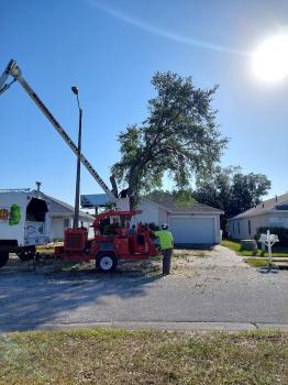 Image for Knuckleheads Tree Service, Inc with ID of: 6780963