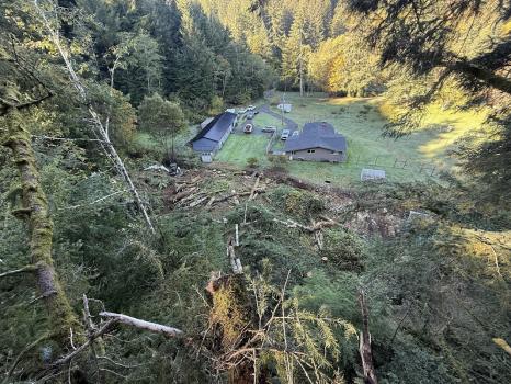Image for Tilikum Tree Care with ID of: 6782237