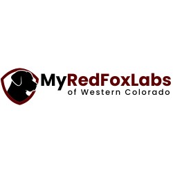 Image for My Red Fox Labs with ID of: 6915660