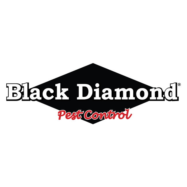 Image for Black Diamond Pest Control with ID of: 6916340