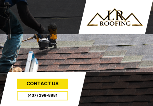 Image for LR Roofing & Contracting with ID of: 6784215