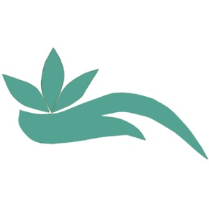 Image for Thera Bamboo Massage with ID of: 6917863