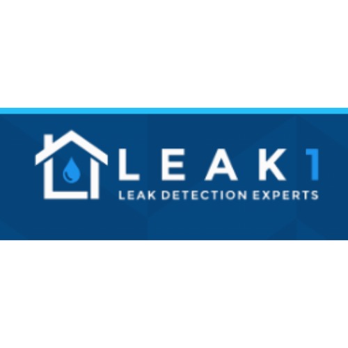 Image for Leak 1 Leak Detection with ID of: 6918189