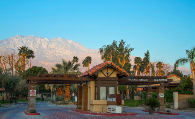 Image for The Oasis with ID of: 6785885