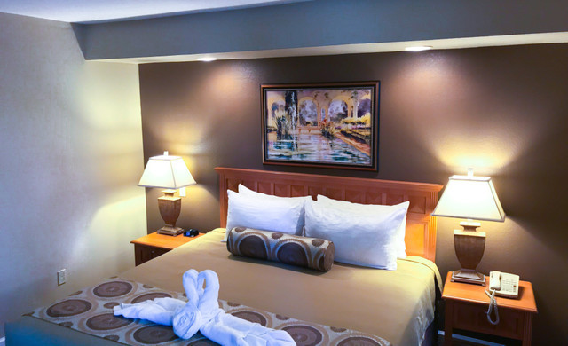 Image for The Oasis with ID of: 6785886