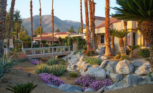 Image for The Oasis with ID of: 6785887