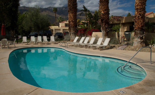 Image for The Oasis with ID of: 6785889