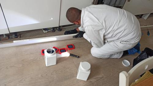 Image for Mouse Hunter with ID of: 6786341