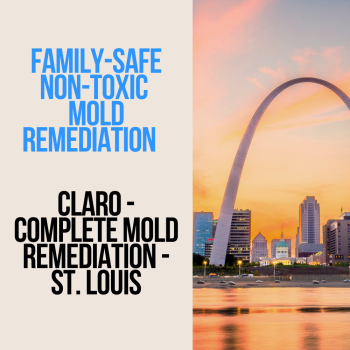 Image for Claro - Complete Mold Remediation - St. Louis with ID of: 6786549