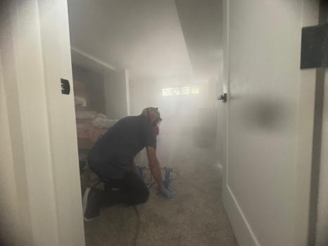 Image for Claro - Complete Mold Remediation - St. Louis with ID of: 6786553