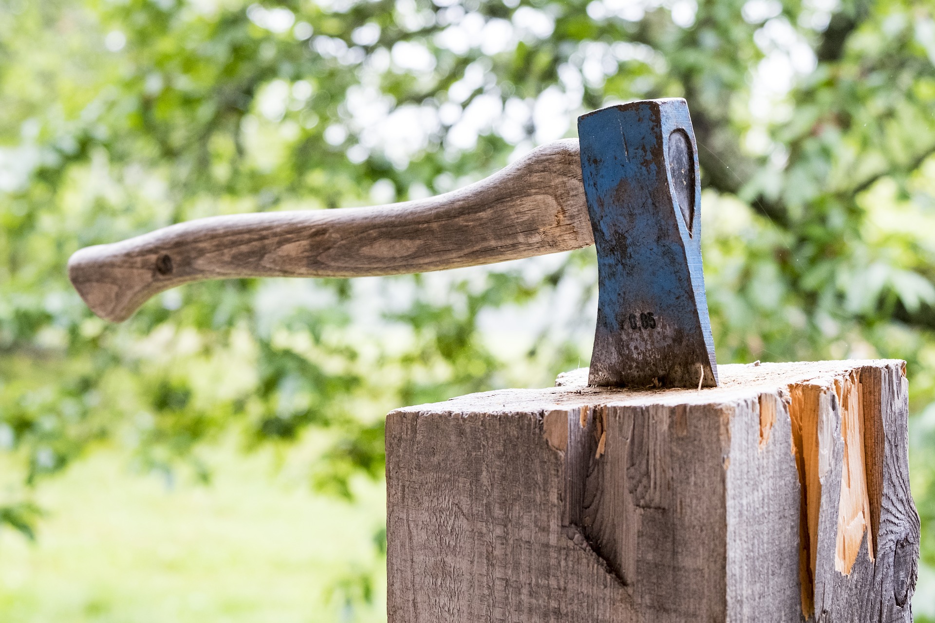 Image for Custom Falling Tree Service with ID of: 6788532