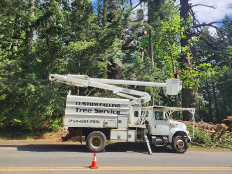 Image for Custom Falling Tree Service with ID of: 6788534