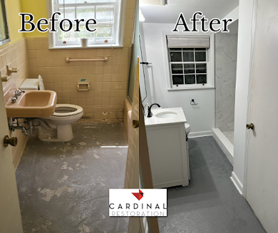 Image for Cardinal Restoration with ID of: 6790125