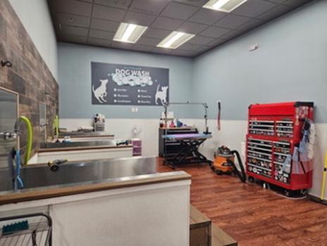 Image for DogVenture New Britain with ID of: 6790322