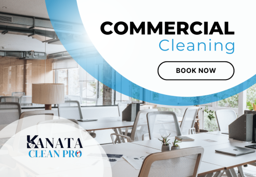 Image for Kanata Clean Pro with ID of: 6790996