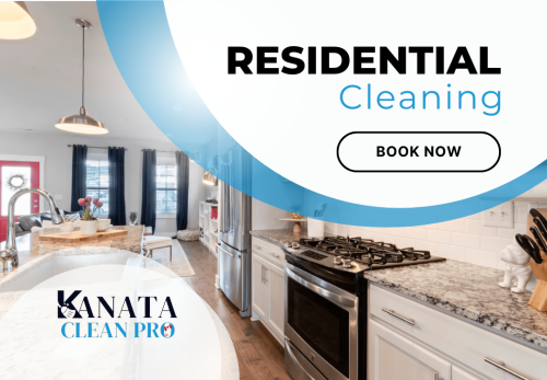 Image for Kanata Clean Pro with ID of: 6791000