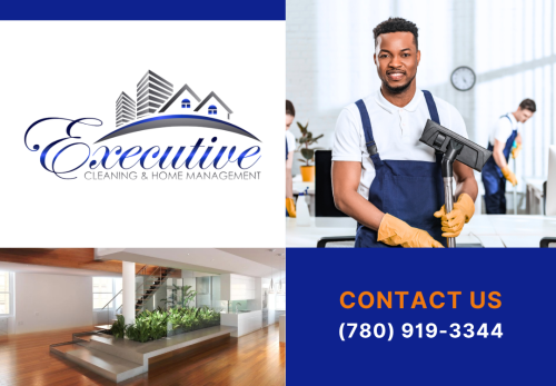 Image for Executive Cleaning and Home Management with ID of: 6791962