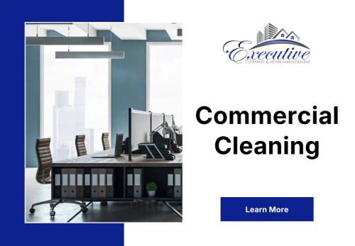 Image for Executive Cleaning and Home Management with ID of: 6791963