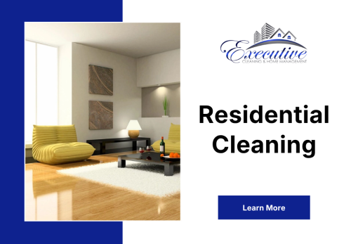 Image for Executive Cleaning and Home Management with ID of: 6791964