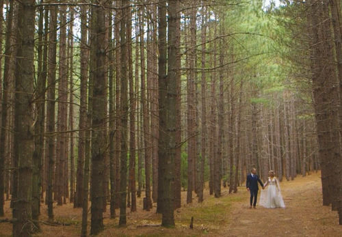 Image for Ripeful Heart Wedding Films with ID of: 6792861