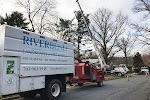Image for Riverbend Landscapes & Tree Service with ID of: 6793114