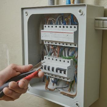Image for Spark Shark Electric with ID of: 6794444