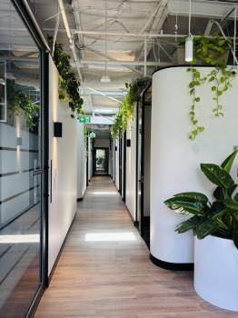 Image for Main Office Sydney with ID of: 6794481