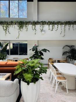 Image for Main Office Sydney with ID of: 6794492