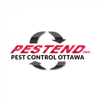 Image for Pestend Pest Control Ottawa with ID of: 6921442