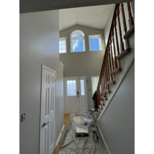 Image for Damico Painting with ID of: 6795786