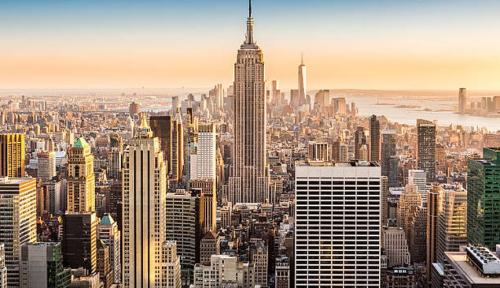 Image for Fast Mold Testing - New York with ID of: 6795815