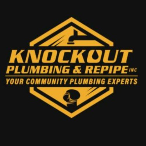Image for Knockout Plumbing & Repipe Inc. with ID of: 6923271