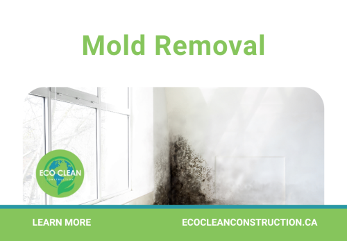 Image for Ecoclean Construction with ID of: 6795848