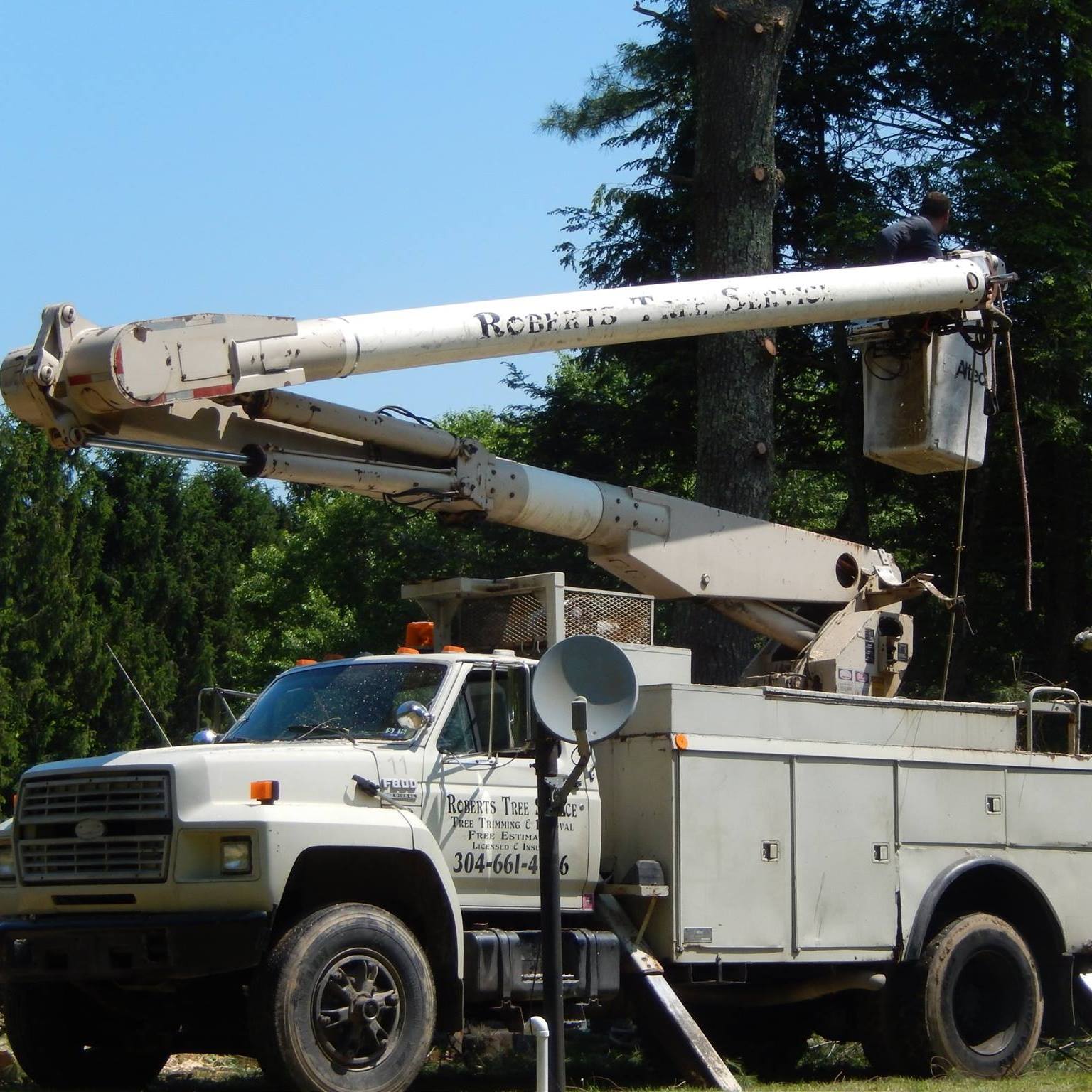 Image for Roberts Tree Service with ID of: 6923936
