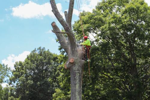 Image for McKenzie Contracting with ID of: 6796881