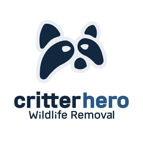 Image for Critter Hero - Wildlife Removal with ID of: 6924693